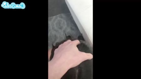 Секс С Лошадей Красотка